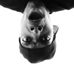 DJ J Heat – Bitch Get Off My Bus! (Soundcloud Version)