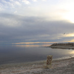 Tomas Barfod – November Skies (Carnage Remix)