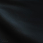 Blvckedout – Champagne