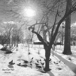 Sun Cut Flat – Come So Far