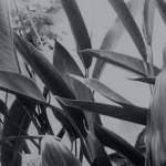 Flux Pavilion – I Can’t Stop (Ekali Tribute)