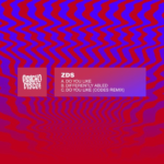 ZDS – Do You Like (Codes Remix)