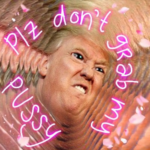 Ashnikko – Please Don’t Grab My Pussy (prod. Raf Riley)