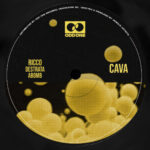 Ricco – CAVA (Destrata Remix)