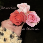 Tucker Doubt – Wastin my time