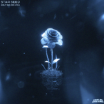 STAR SEED – Waiting On You