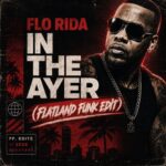 Flo-Rida x Paper Skies x will.i.am x CONFIRM x Avicii & Skrillex – In The Ayer (Flatland Funk Edit)