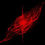 Crimson Child – The Vision