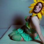 shmani – SAD BIH