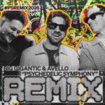 Big Gigantic & Avello – Psychadelic Symphony (So Sus Remix)