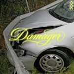 Lowbrain – Damager