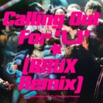 Baauer – Calling Out For U (BRUX Remix)